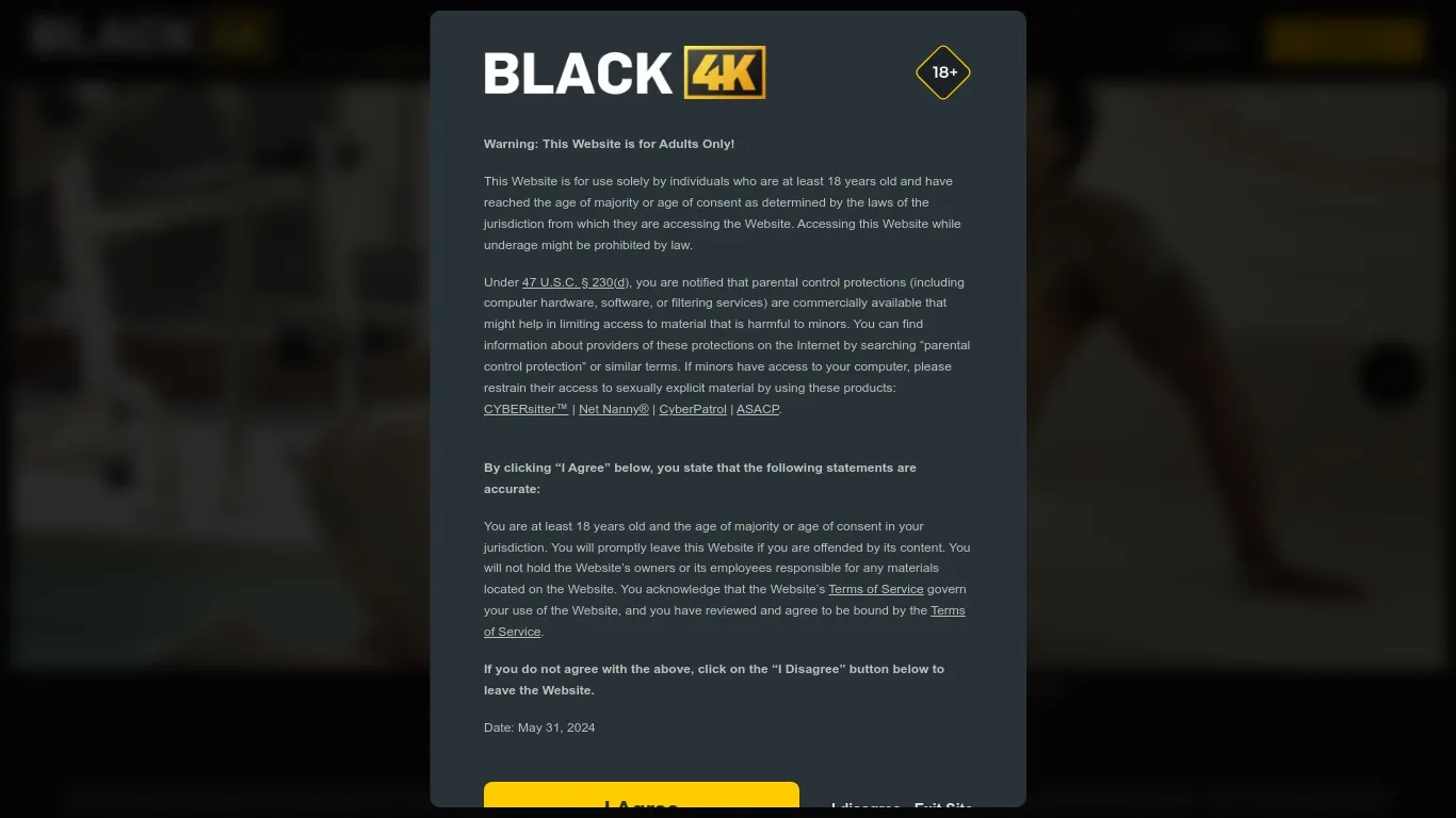 Black4k.Com snapshot