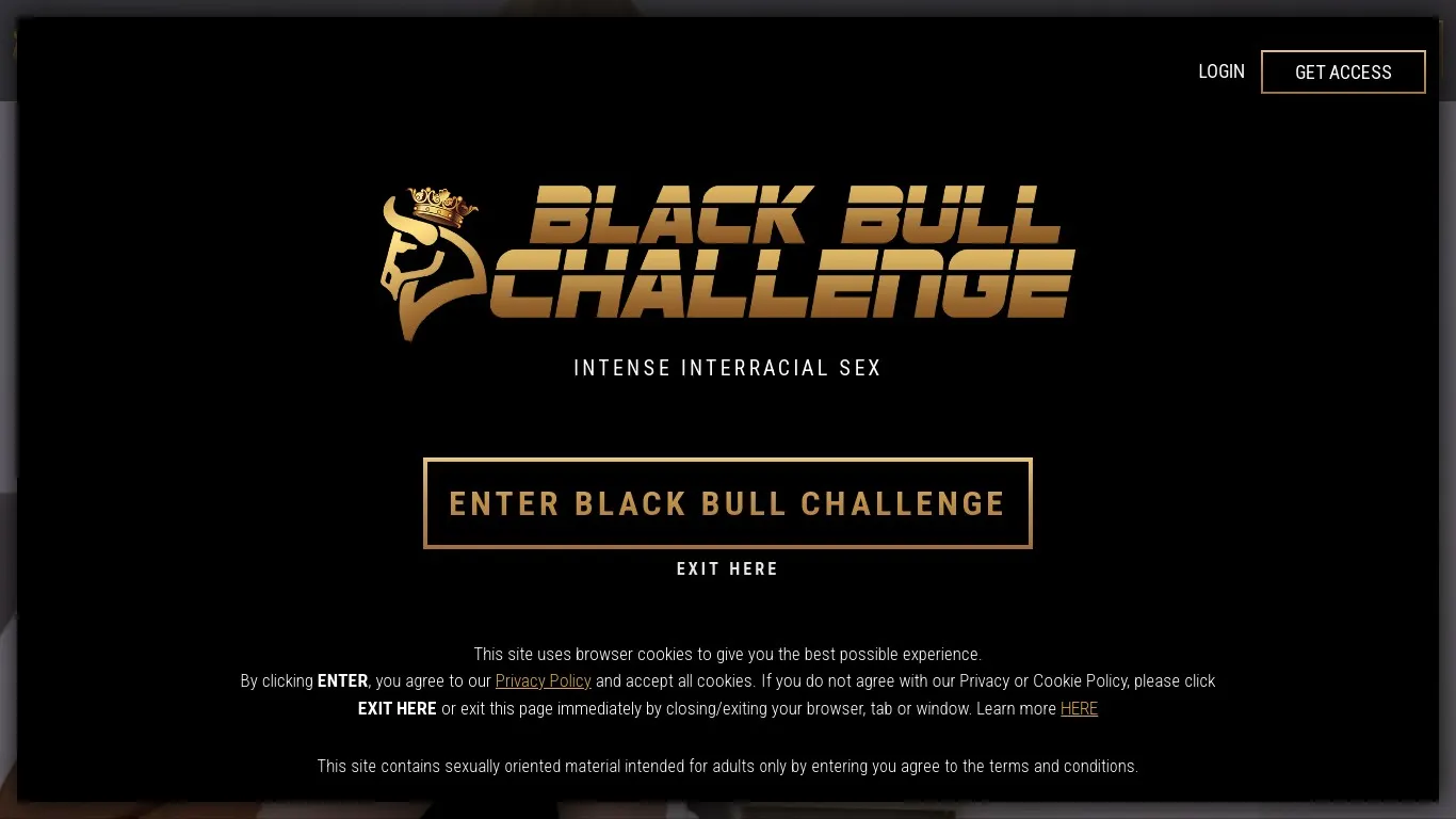 blackbullchallenge.com snapshot