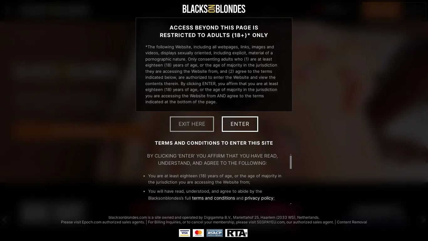 blacksonblondes.com snapshot