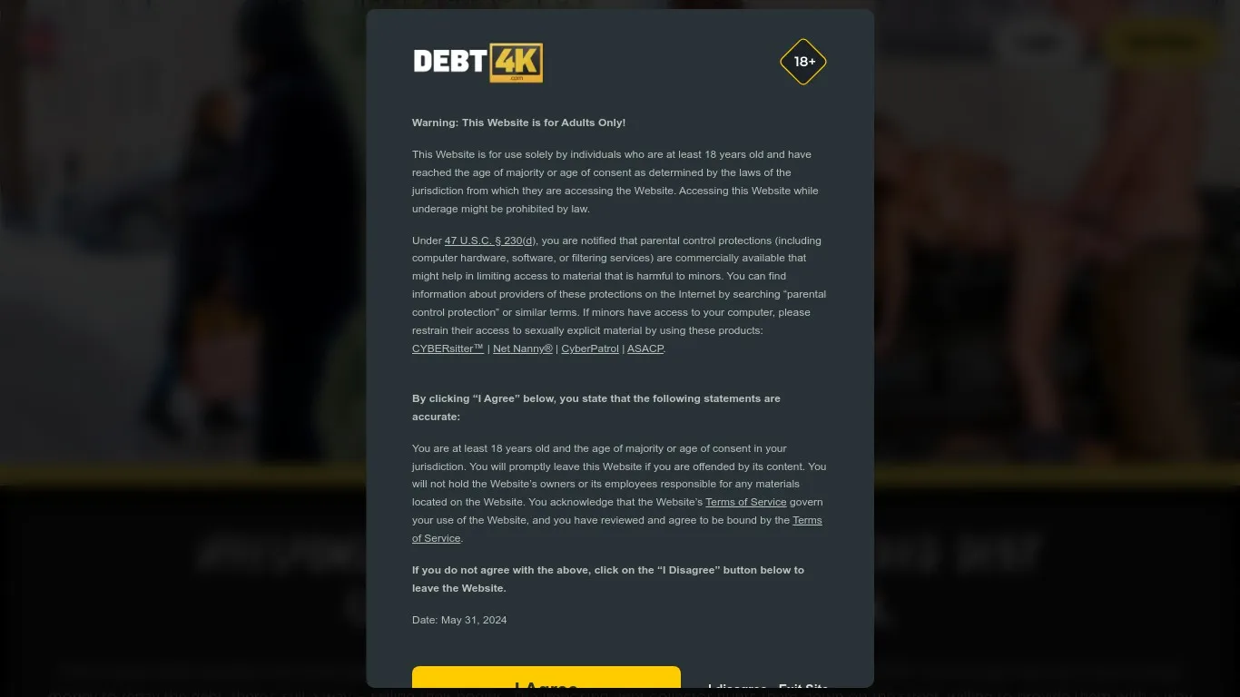 Debt4k.Com snapshot