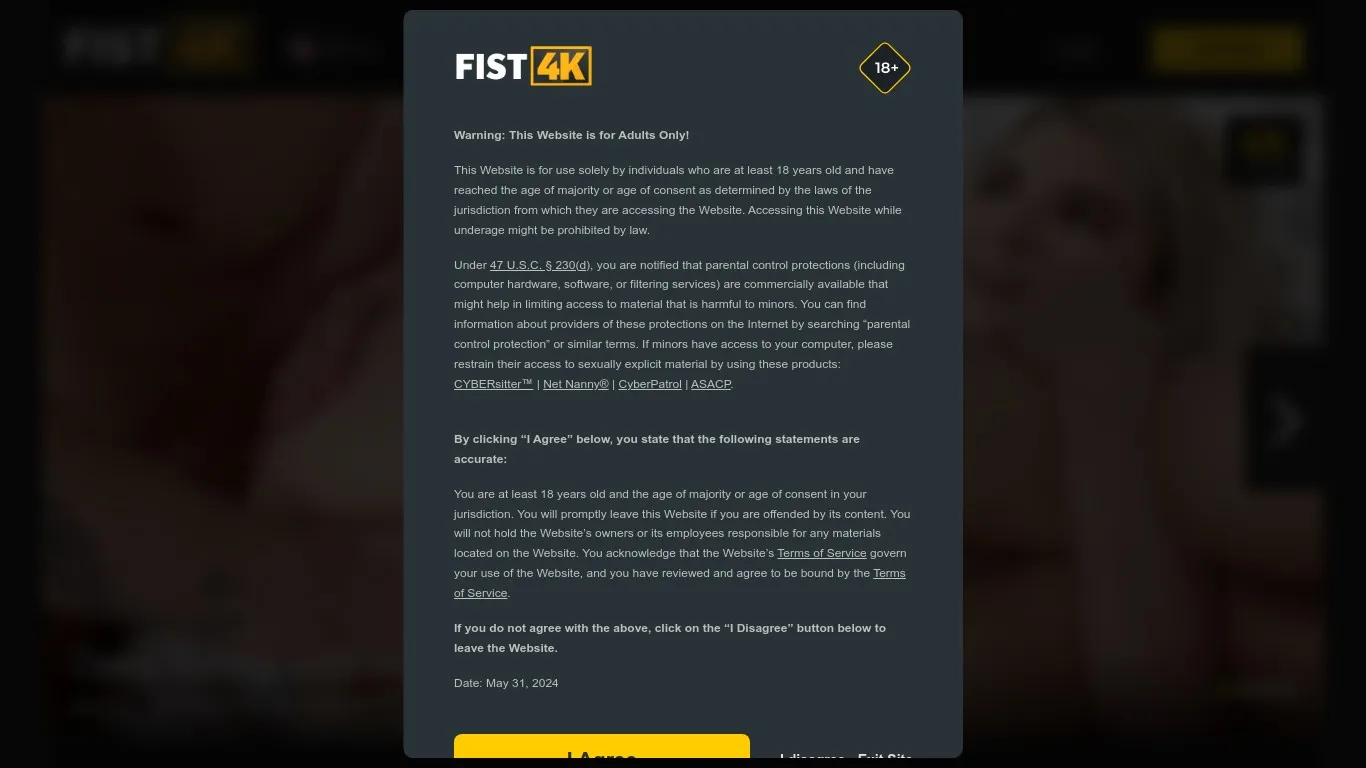 Fist4k.Com snapshot