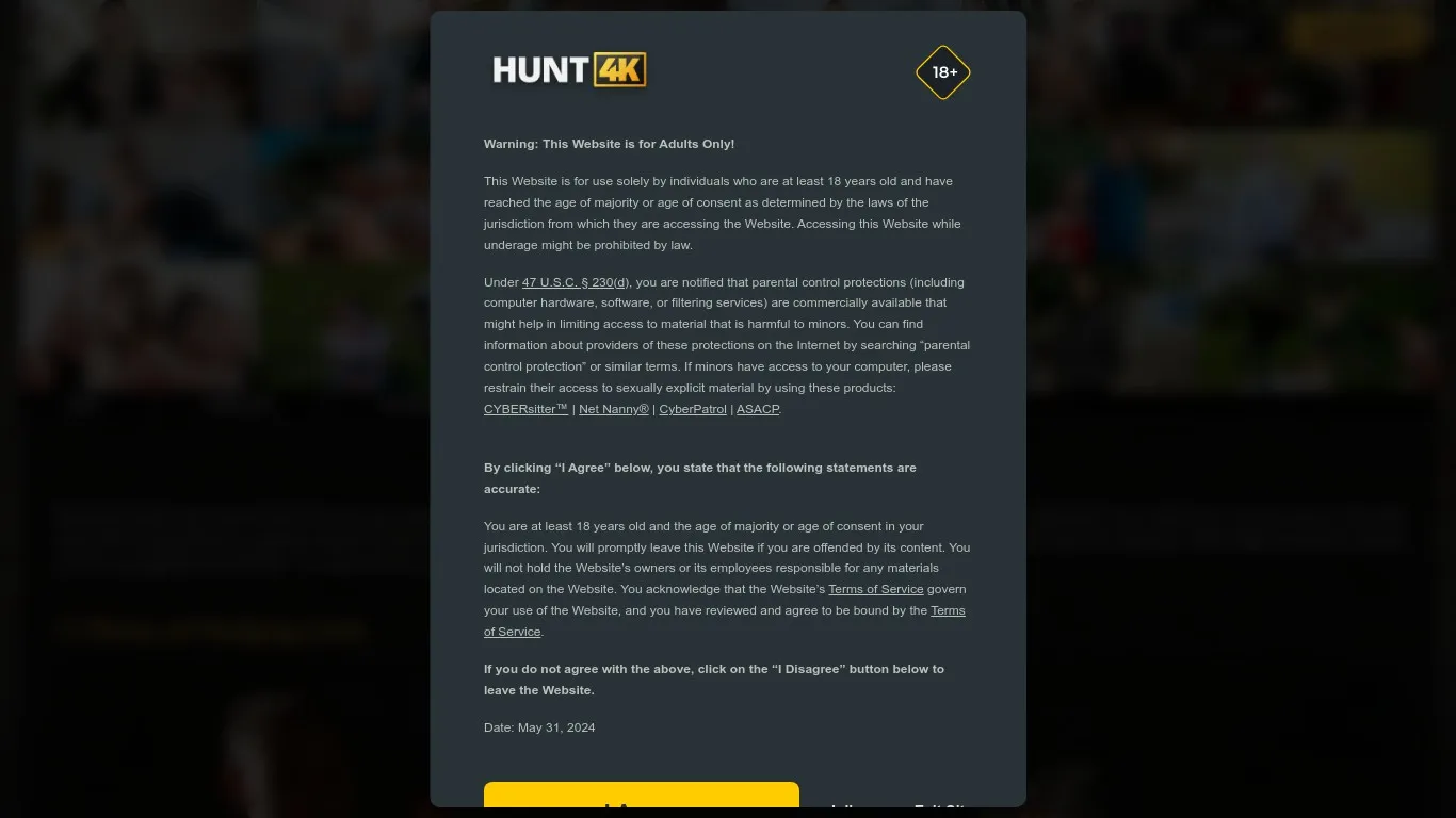 Hunt4k.Com snapshot