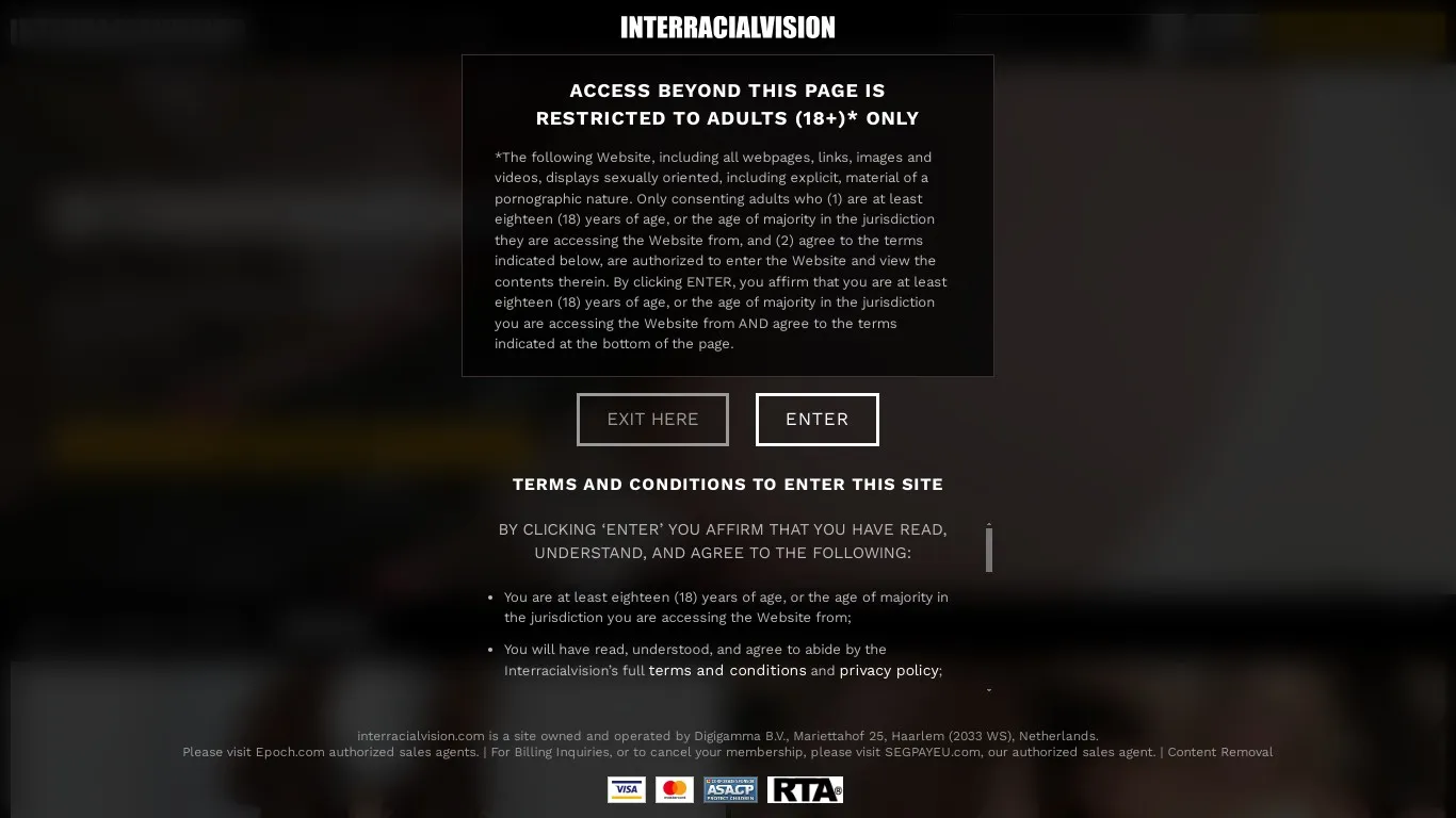 interracialvision.com snapshot