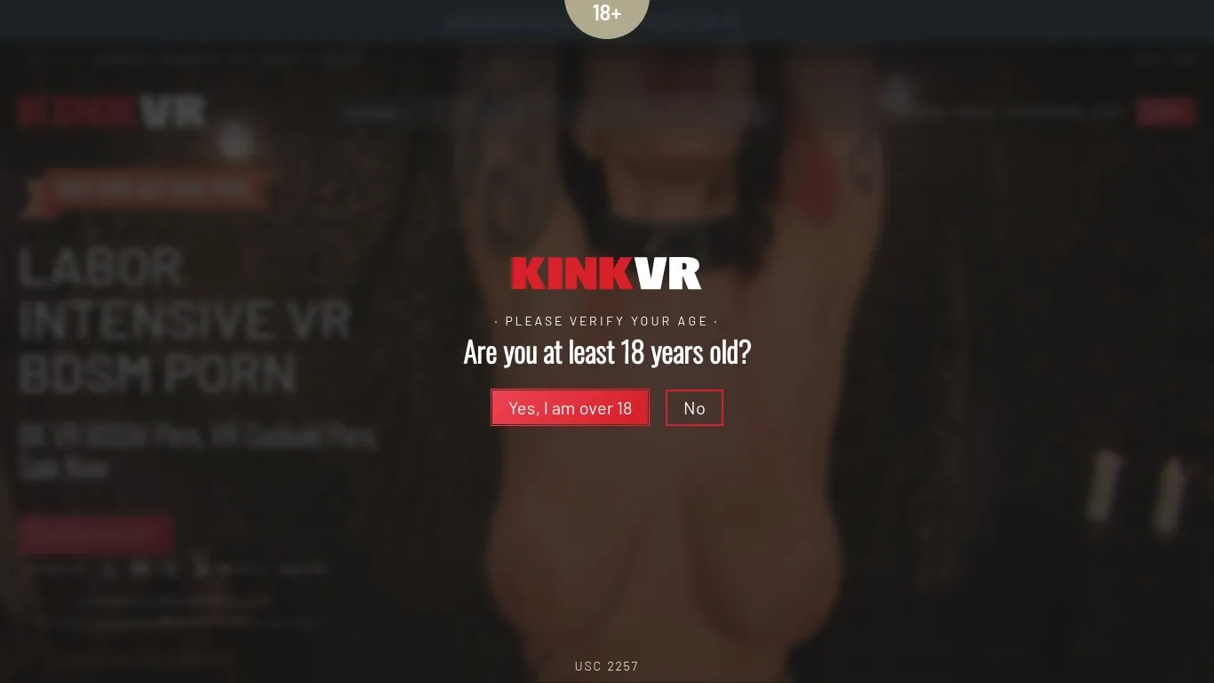 KinkVR snapshot