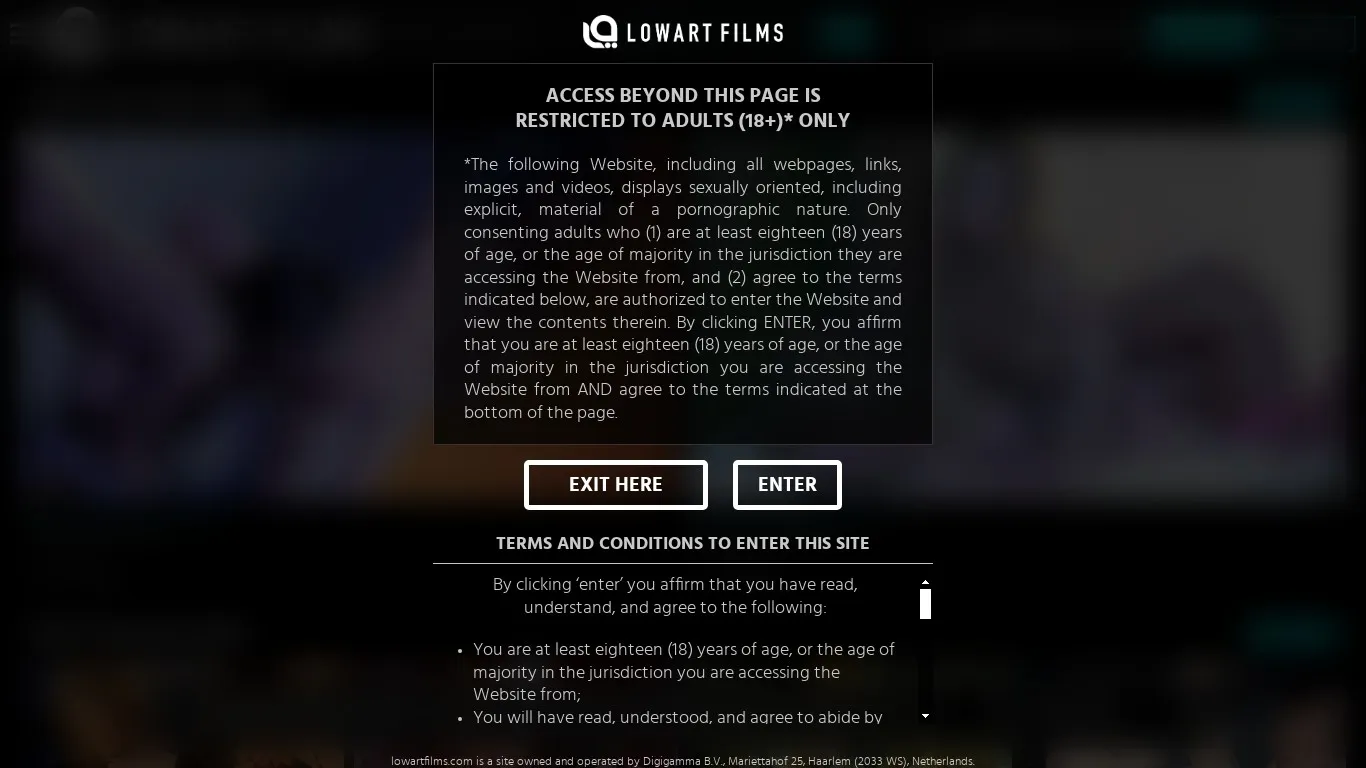 Lowartfilms snapshot