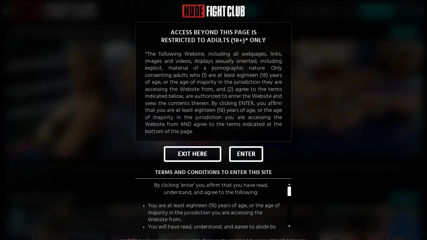 Nudefightclub snapshot