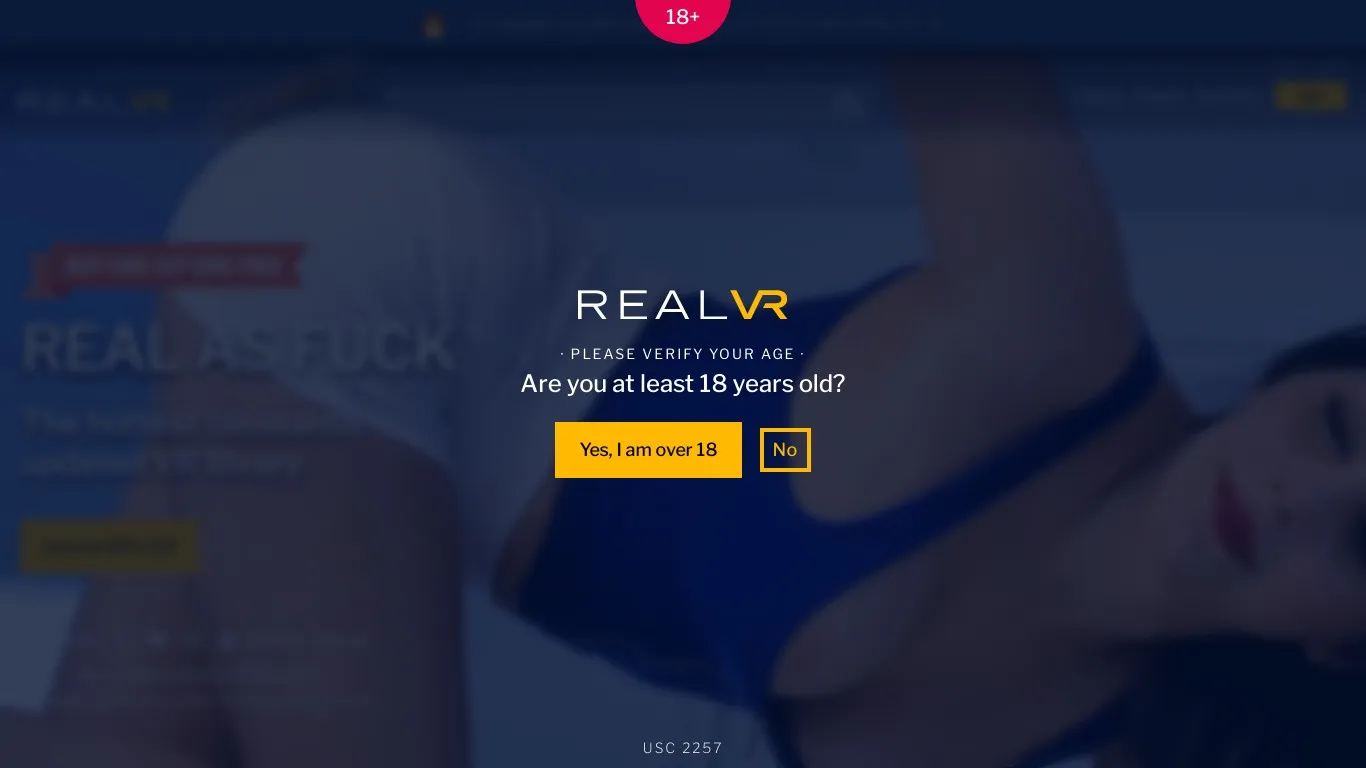 RealVR snapshot