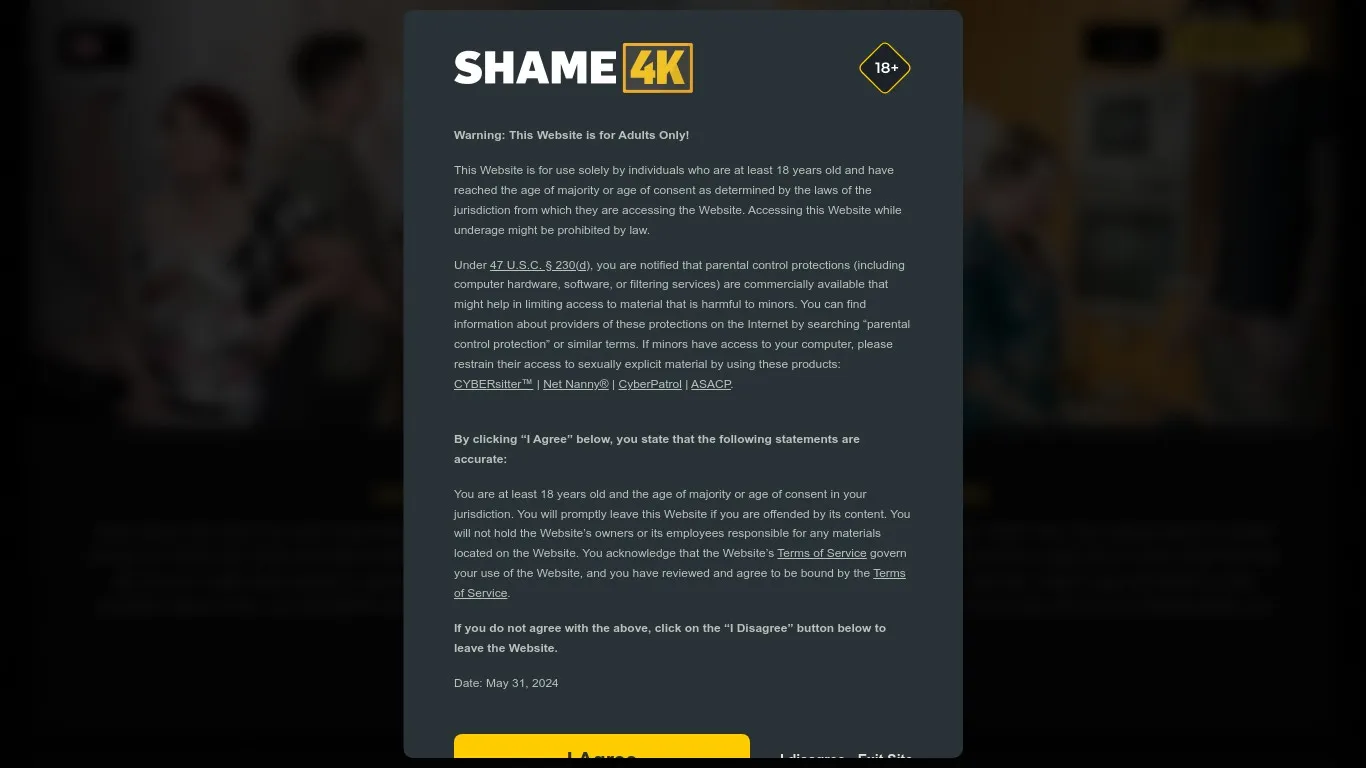 Shame4k.Com snapshot