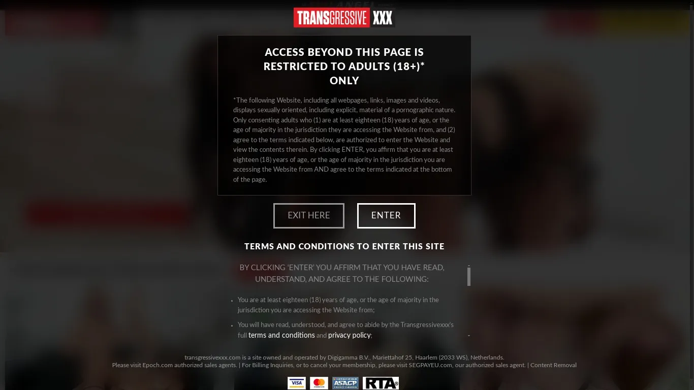 transgressivexxx.com snapshot