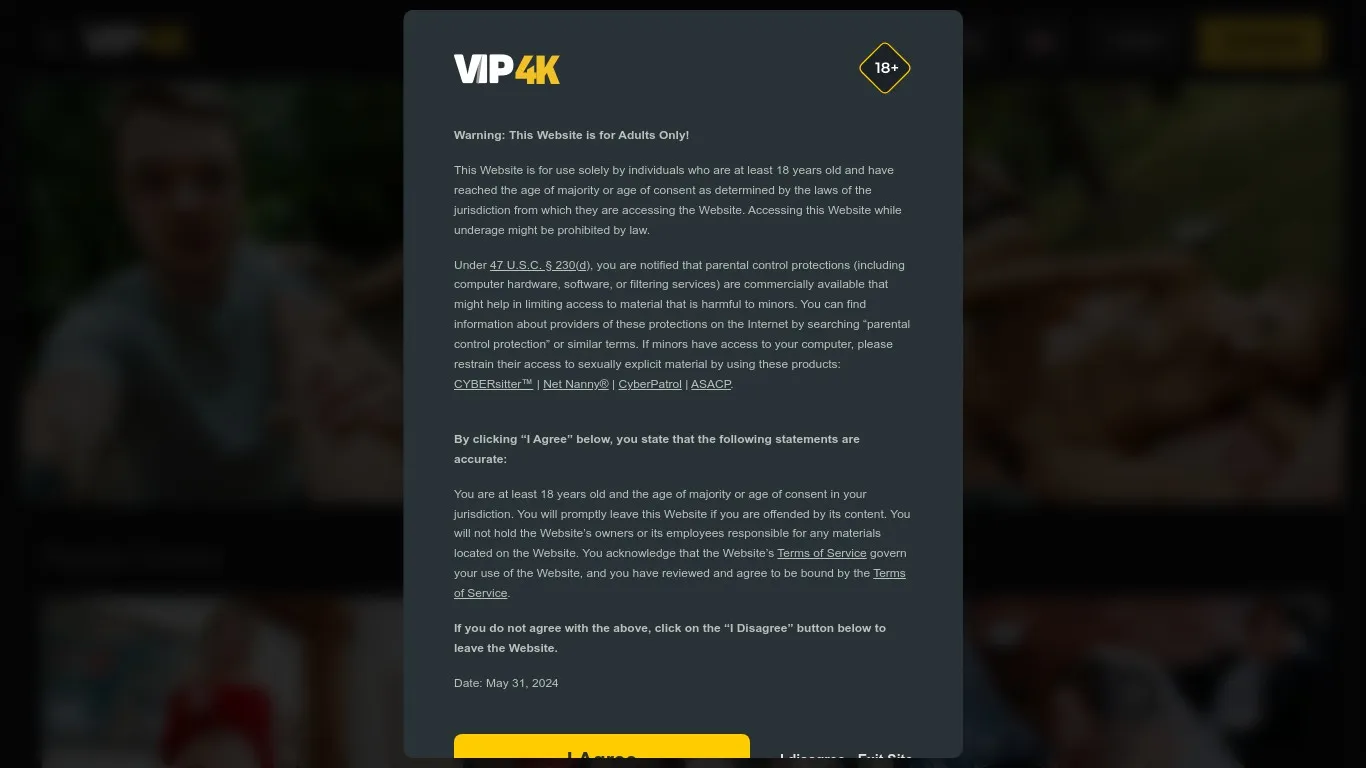 Vip4k.com snapshot