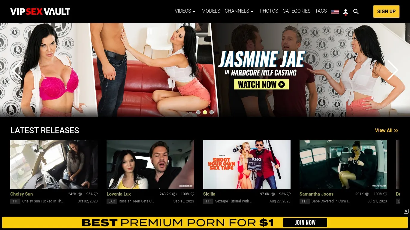 VIPSexVault snapshot